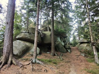 Percorso A piedi Wunsiedel - Bad Alexandersbad - Rundwanderweg Nr. 6 - - Photo