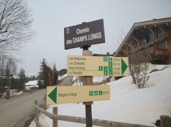 Randonnée Raquettes à neige Megève - Raquette Pettoreaux TFM puis ThiMar - Photo