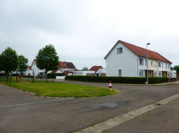 Percorso A piedi Tienen - Bloesemwandeling lange versie - Photo