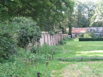 Tour Zu Fuß Ede - Welkom op Hoekelum! - Photo
