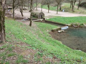 Trail Walking Dourgne - rando dourgne - Photo