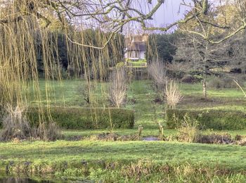 Tour Zu Fuß Winchester - Kingfisher Trail - Photo