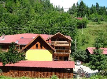 Tour Zu Fuß  - Rodna - Satul Valea Vinului - Șaua Curățel - Photo