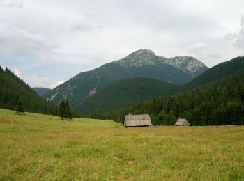 Randonnée A pied Witów - Polana Chochołowska - Polana Trzydniówka - Photo