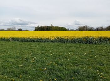 Randonnée Marche Routot - Routot , Croix - Sainte-Marie , La Haie de Routot  - Photo