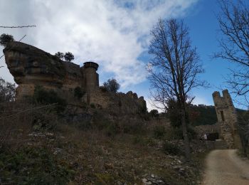 Randonnée Marche Rivière-sur-Tarn - Puech de Fontaneilles - Photo