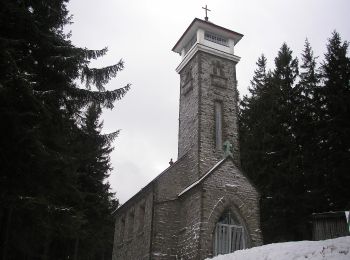 Tour Zu Fuß Milíkov - NS krajinou dávných horalů - Photo