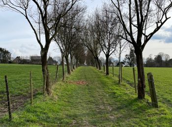 Randonnée Marche Trooz - Forêt Meisier Magnee retour par la carrière  - Photo