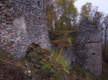 Tour Zu Fuß Szögliget - Szádvár tanösvény - Photo