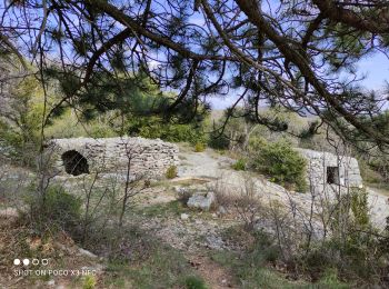 Tour Wandern Saint-Saturnin-lès-Apt - 2021-04-04 Fontaine des noyers les aiguiers chri - Photo