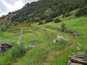 Trail Walking - La de Riu-2024-06-21 - Photo