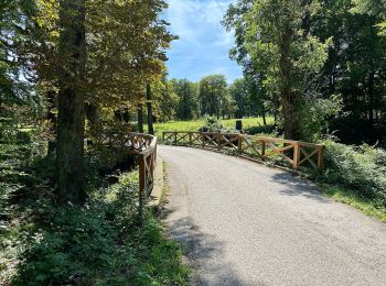 Excursión A pie Laab im Walde - Wanderweg 3 (Laab im Walde) - Photo