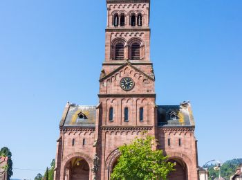 Trail Walking Munster - Munster - Ried - Solberg - Photo