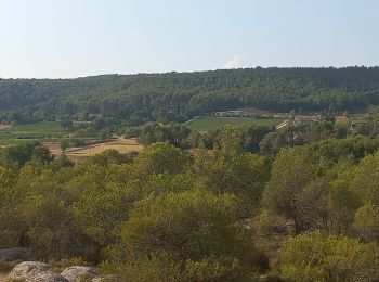 Tour Wandern Châteauneuf-le-Rouge - Cengle de Negrel - Photo