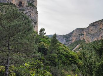 Tocht Stappen La Vacquerie-et-Saint-Martin-de-Castries - La Vacquerie St Guilhem  - Photo