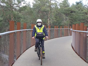 Tour Rennrad Zonhoven - bosland dans les arbres au limbourg - Photo