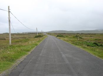 Excursión A pie Westport-Belmullet Municipal District - Slí Tóin a' tSeanbhaile / Valley Loop Walk - Photo