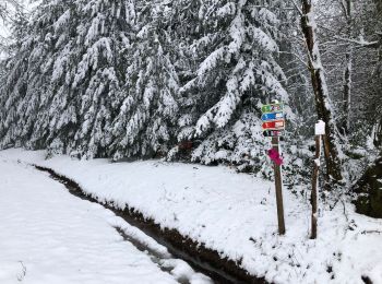 Tocht Stappen Bonnefond - Chadebech, bleue - Photo