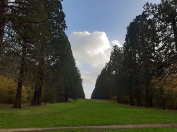 Percorso Marcia Mennecy - parc de Villeroy - Photo