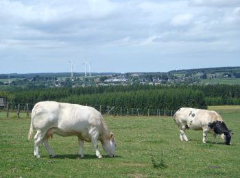 Tocht Stappen Gouvy - RB-Lu-29_Courtil_variante - Photo