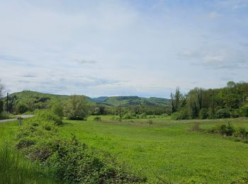 Excursión Senderismo Écrille - Quelque part dans le Jura 🥾 - Photo