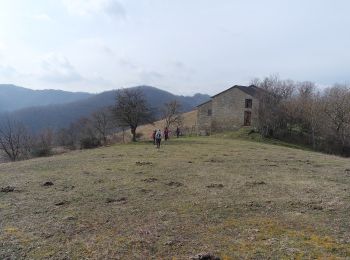 Trail On foot Brisighella - IT-19 - Photo