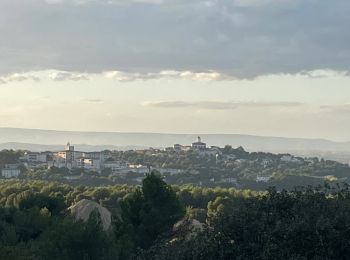 Trail Walking Charleval - PF-Charleval - Les Costes - Bois des Taillades - Cuou de Peyrou - Photo