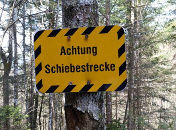 Percorso A piedi Kiefersfelden - Weg Nr. 5 - Höhenrundweg um den Scharzenberg - Oberaudorf/Hocheck - Photo