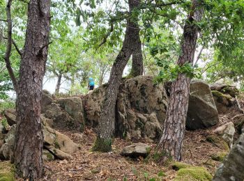 Trail Walking Ceyrat - Le Chaos de la Faille_T - Photo