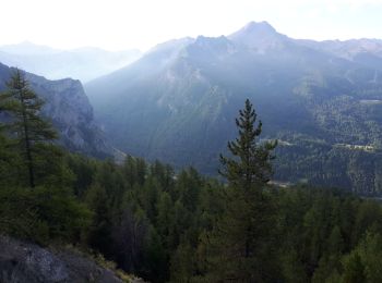 Tocht Stappen Saint-Sauveur - Le Méale (par le parking de la forêt) - Photo