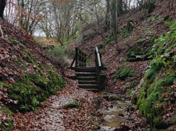 Excursión Senderismo Waldbillig - La cascade de Mullerthal - Photo