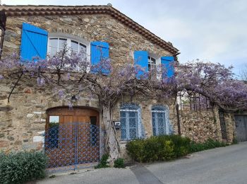 Randonnée Marche Grimaud - Grimaud - Sentier de la calade - Photo