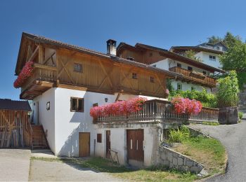 Excursión A pie Villnöß - Funes - Gratschenbergrunde - Photo