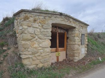 Excursión A pie Gemeinde Retz - Weinwanderweg - Photo