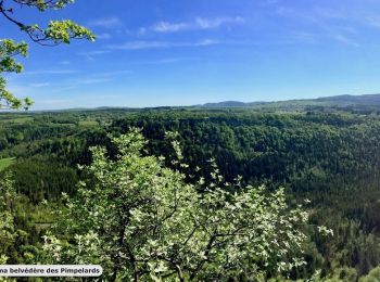 Randonnée Marche Clairvaux-les-Lacs - Les Pimpelards - Photo