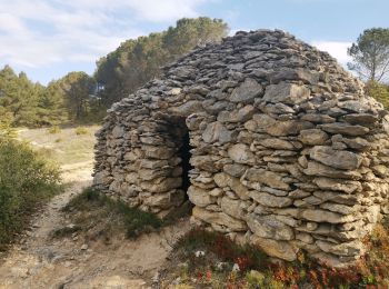 Randonnée Marche Villegailhenc - Villegailhenc Conques Aragon - Photo