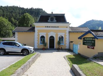 Percorso A piedi Gemeinde Gutenstein - Gutensteiner Panoramaweg - Photo