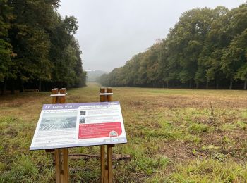 Tocht Stappen Meudon - la Forêt Domaniale de Meudon (2) - Photo