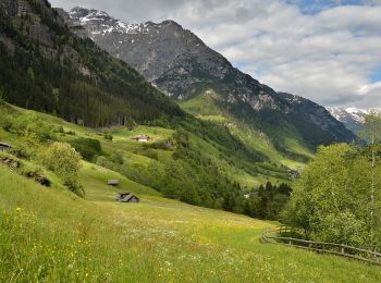 Tocht Te voet Brenner - Brennero - IT-6 - Photo