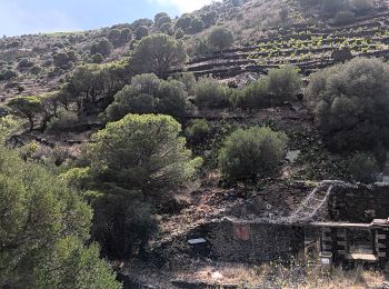 Percorso Marcia Cerbère - cerbère. cap cerbère. coll dels belitras . puig dels frères. cerbère - Photo