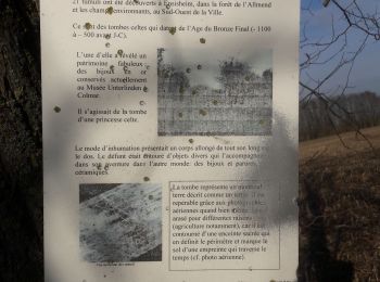 Trail Walking Pulversheim - 2020.01.02.Pulversheim - Photo