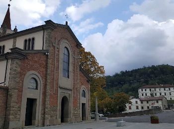 Tour Zu Fuß Bagno di Romagna - IT-155 - Photo