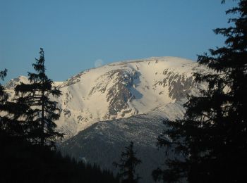 Excursión A pie Petrila - Cabana Groapa Seacă - Pasul Groapa Seacă - Vf. Capra - Photo