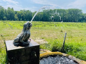 Tocht Stappen Braives - La rainette des marais et la rivière « la Mehaigne » à Braives - Photo