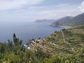 Percorso Marcia Riomaggiore - Manarola-Riomaggiore-3kmD250m - Photo