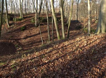 Tocht Te voet Pretzfeld - Rundweg Wannbach - Poppendorf - Photo