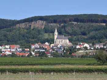 Tocht Te voet  - Lauf- und Walkingstrecke Kleinhöflein - Photo