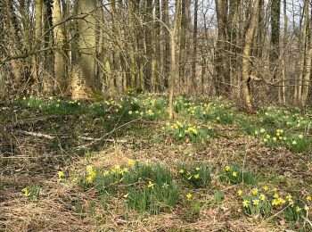Percorso Marcia Kelmis - Kelmis/La Calamine 10 Km - Photo