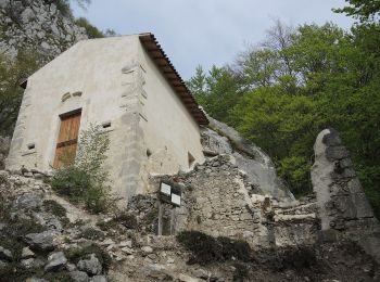 Percorso A piedi Pacentro - Tratto Monte Amaro - Stazione di Palena - Photo