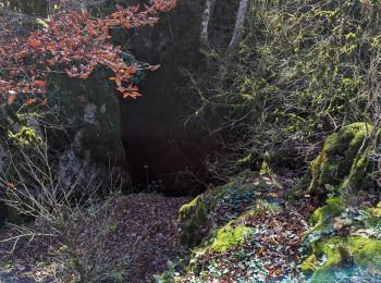 Excursión Senderismo Cornus - Plateau de Guilhaumard La Sorgues - Photo